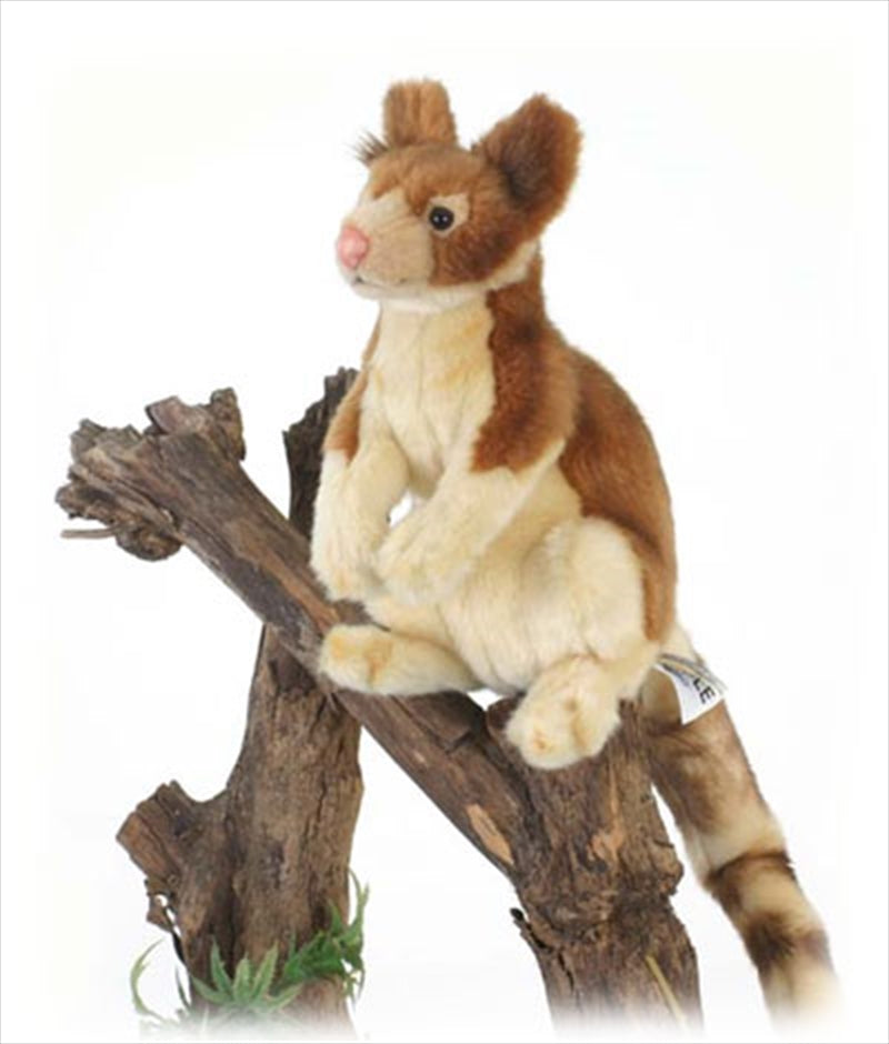 Tree Kangaroo 23cm