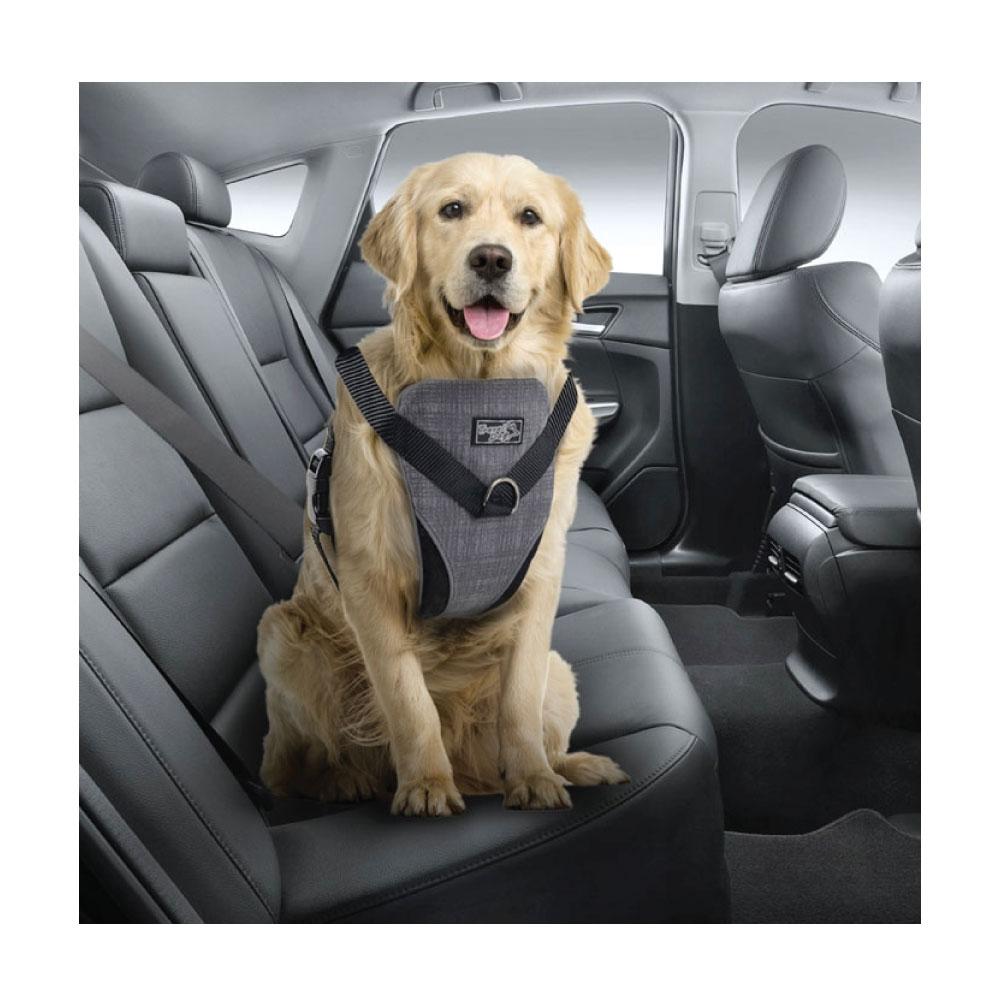 XL Dog Harness 2 in 1 Combo - Car Travel Rides + Walks - No Pull Leash Seat Belt
