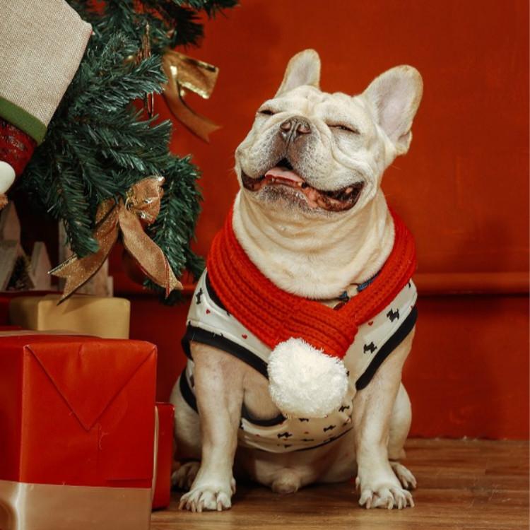 Pet Christmas Wool Scarf Dog Saliva Towel - Size M
