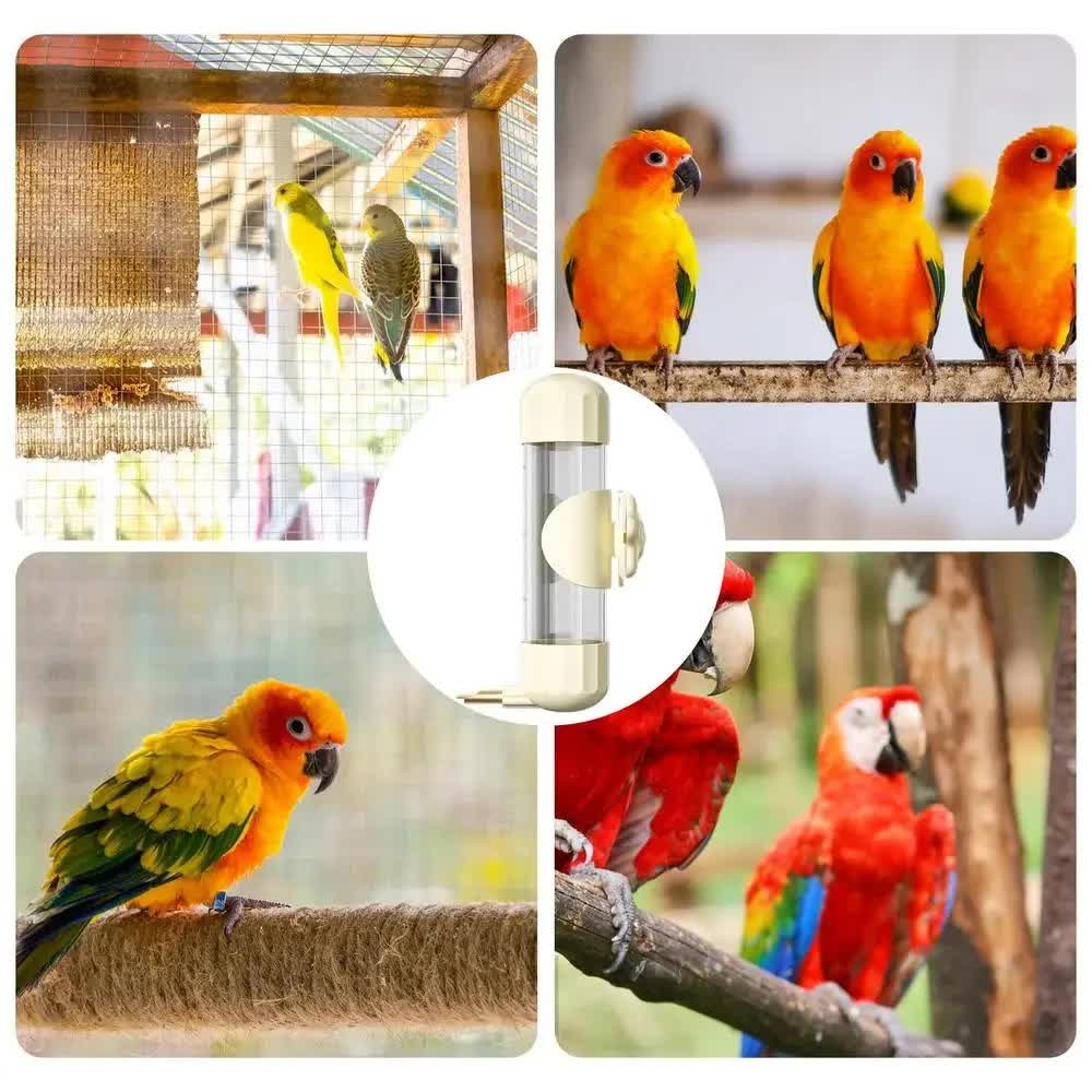 White Automatic Bird Water Feeder Bottle (200ml) - Leakproof No-Drip Dispenser for Parrots
