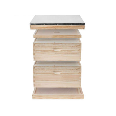 8 Frame Double Beehive Box 16 Frames Australian Bee Hive Langstroth Beekeeping