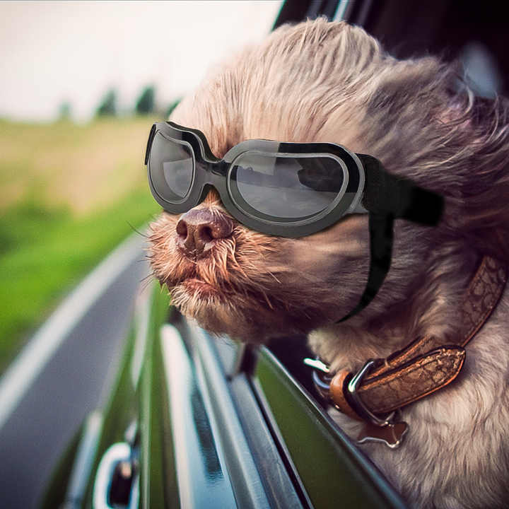 Silver Lenses Pet Sunglasses for Dogs and Cats - UV Protection, Adjustable Strap, Anti-Wind and Anti-Fog Pet Goggles