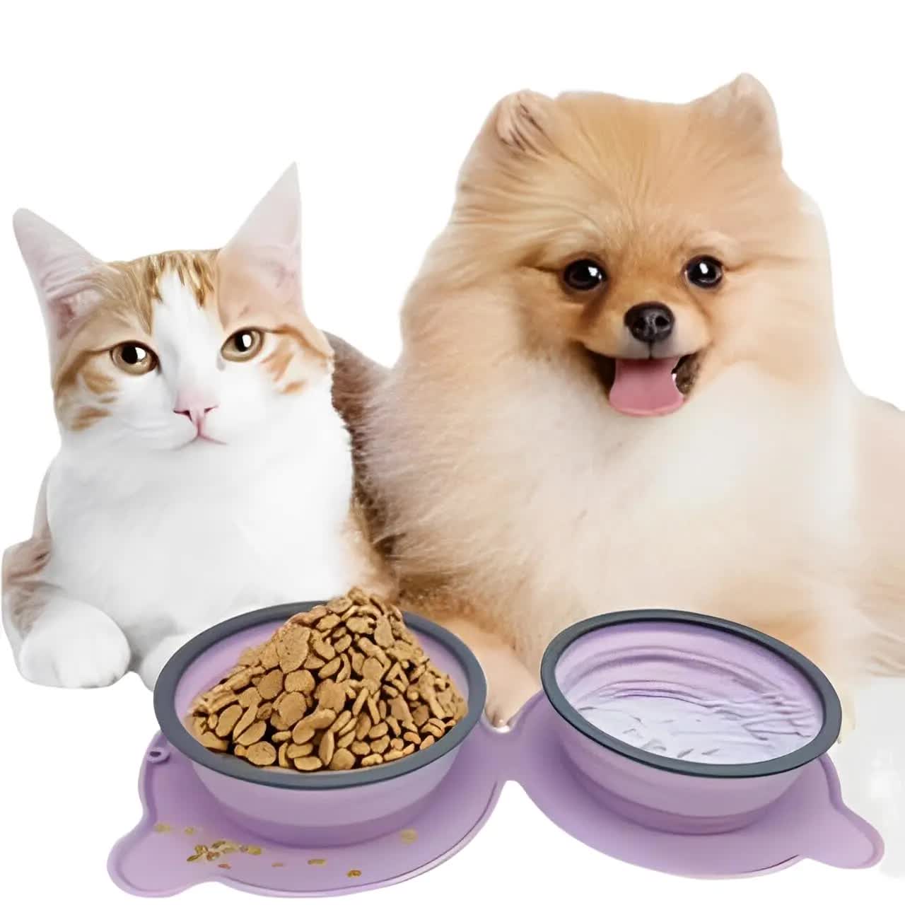 Red Portable Collapsible Pet Bowl Set - Food-Grade Silicone Double Bowl for Dogs & Cats, Anti-Slip & Easy to Clean