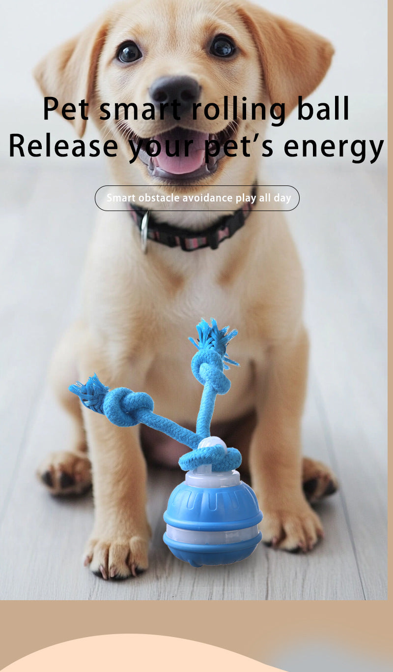 Blue 2-pcs Interactive Dog Toy - Self-Moving Ball with Rope, Boredom Buster (With Bird Calls)
