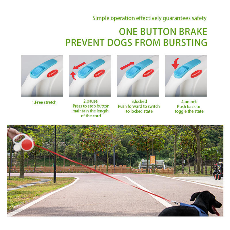 White 5M Retractable Dog Leash - With Small Box, Suitable For Small And Medium Dogs