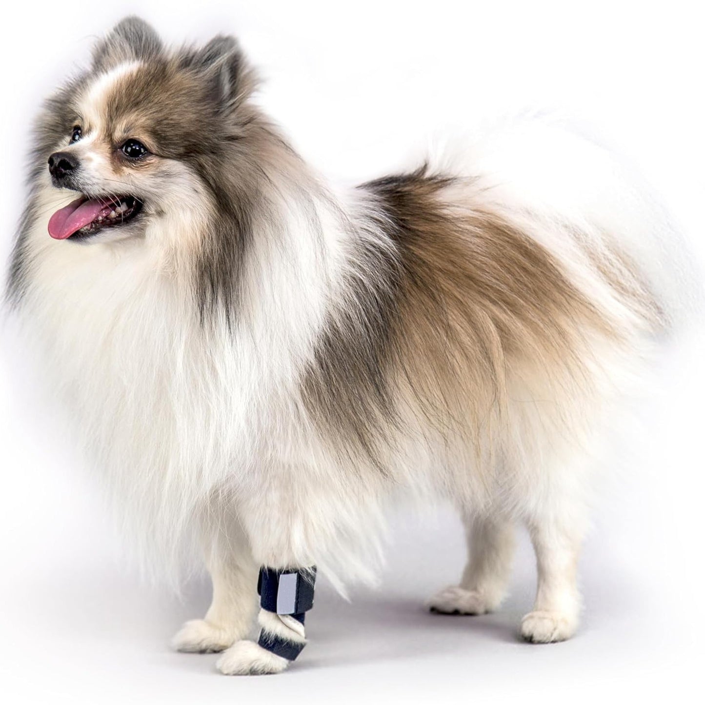 3 Pcs Size S Dark Blue Supportive Dog Leg Brace - Adjustable Carpal/Tarsal Splint for Injury & Arthritis Relief