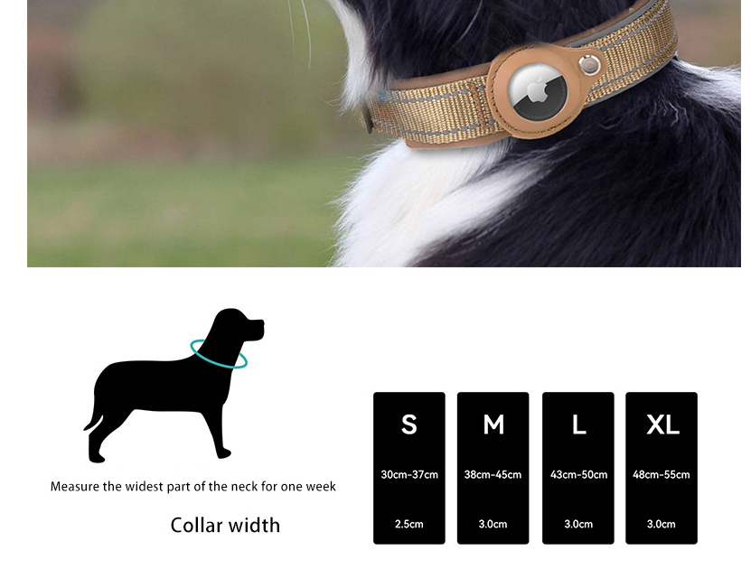 S Blue-green Secure Nylon Dog Collar with Built-in Apple AirTag (not included) Holder Case - Pet Tracker Accessory