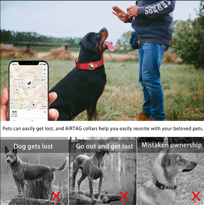 XL Khaki Secure Nylon Dog Collar with Built-in Apple AirTag (not included) Holder Case - Pet Tracker Accessory