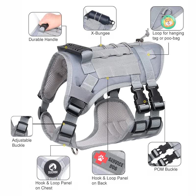 Green Tactical Dog Training Harness - Adjustable Vest for Training and Walking - M
